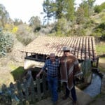 El molino de agua de Rodeillo (Pichilemu)