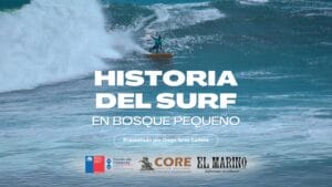 Lee más sobre el artículo «Historia del surf en bosque pequeño»