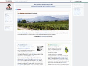 Lee más sobre el artículo Mi compromiso con la promoción de la cultura: la Enciclopedia Colchagüina