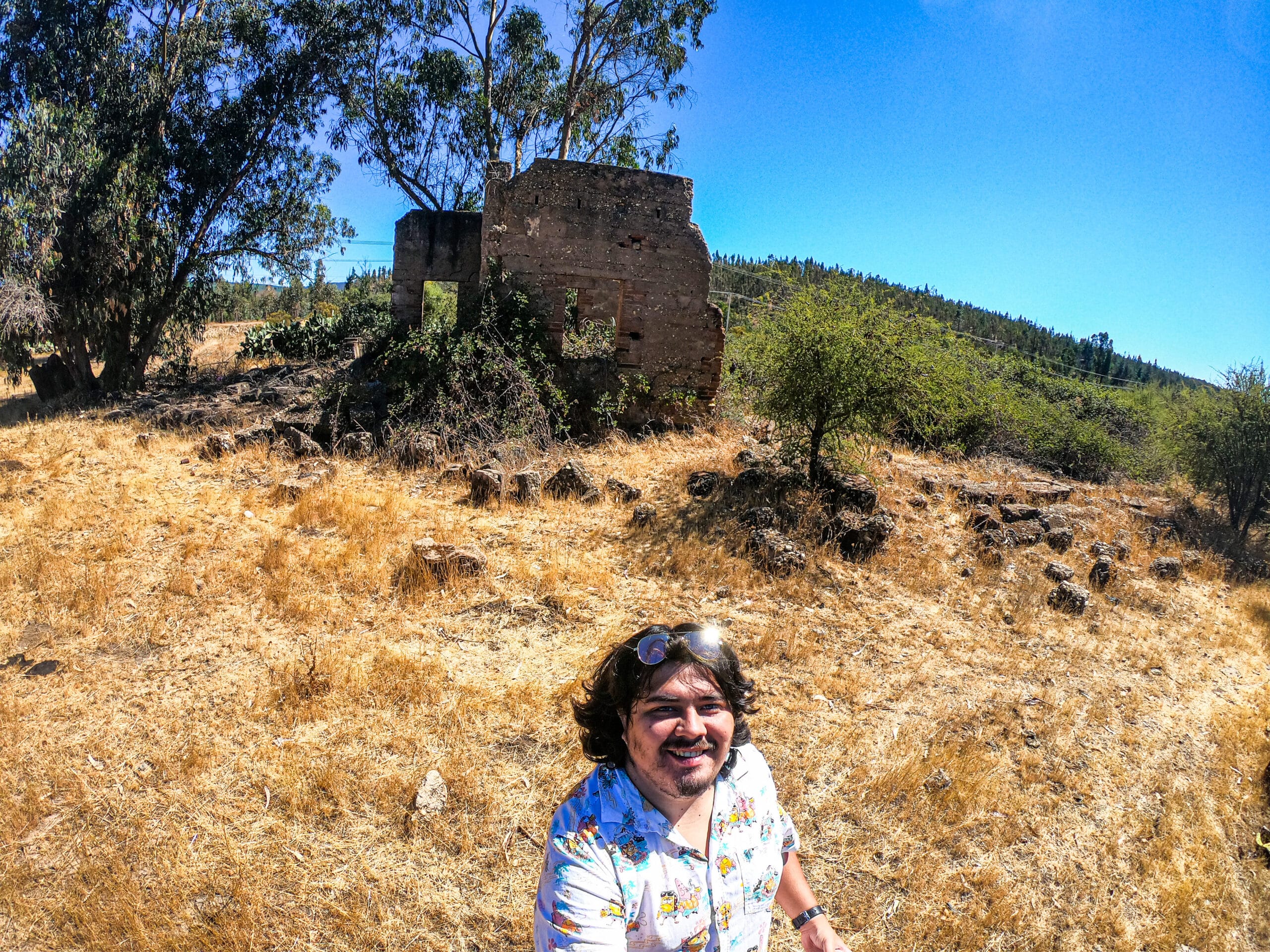 En este momento estás viendo «Lugares y vestigios del ramal San Fernando-Pichilemu»