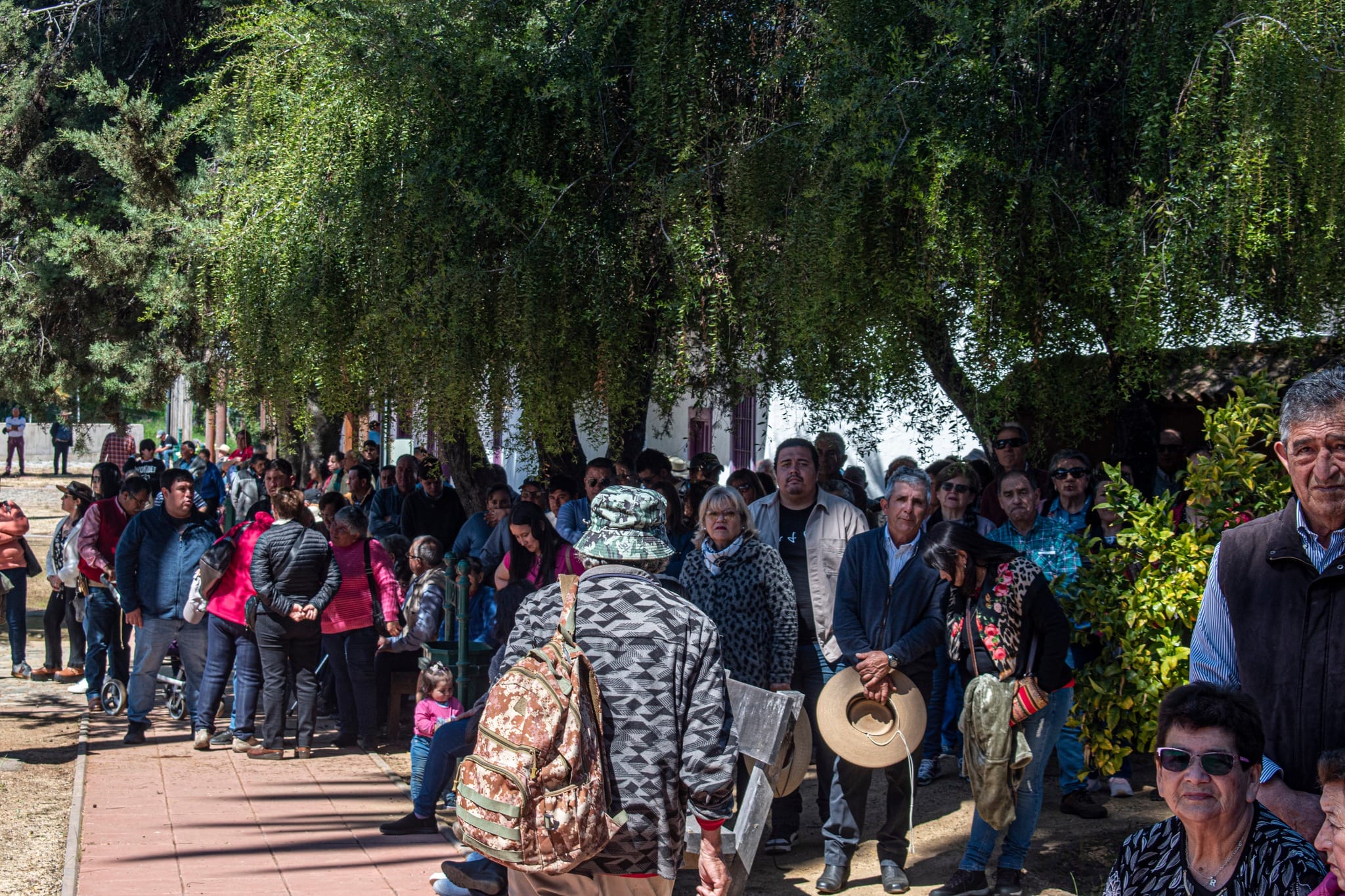 Lee más sobre el artículo Fiesta de San Francisco en San Pedro de Alcántara