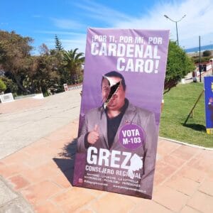 Lee más sobre el artículo «Palomas» tajeadas