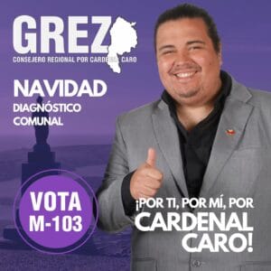 Lee más sobre el artículo Diagnóstico comunal de Navidad