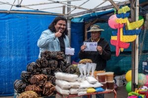 Lee más sobre el artículo Recorrido por Bucalemu y Paredones