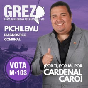 Lee más sobre el artículo Diagnóstico comunal de Pichilemu