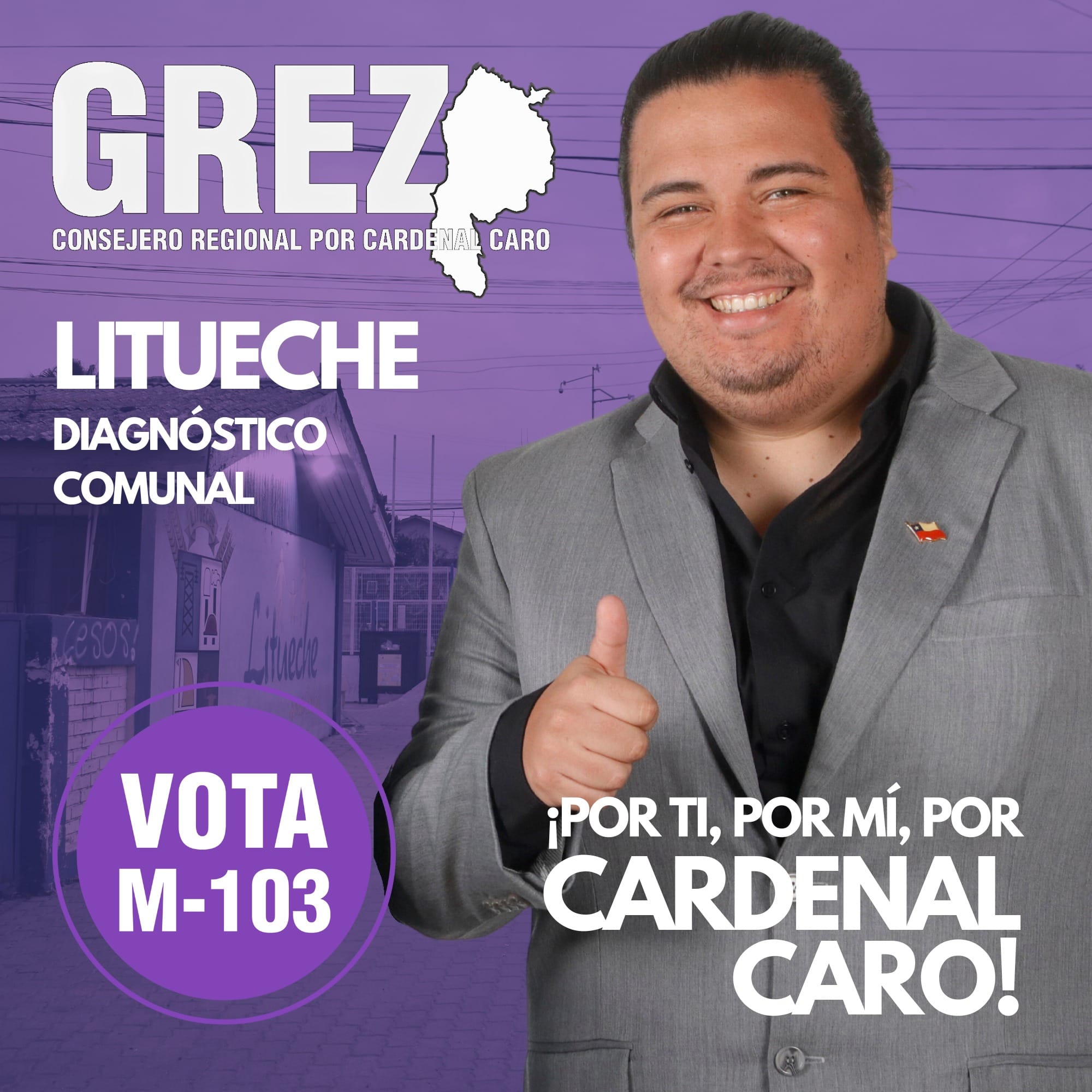 Lee más sobre el artículo Litueche: diagnóstico comunal