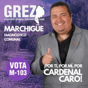Lee más sobre el artículo Diagnóstico comunal de Marchigüe