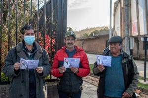 Lee más sobre el artículo Recorrido por San Pedro de Alcántara