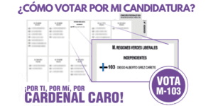 Lee más sobre el artículo Cómo votar para CORE en Cardenal Caro