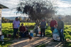 Lee más sobre el artículo Recorrido por Rinconada de Alcones